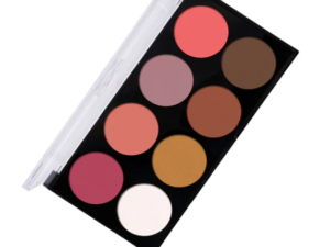 Beauty Berry Ultra Professional Face Palette (Shade 01)