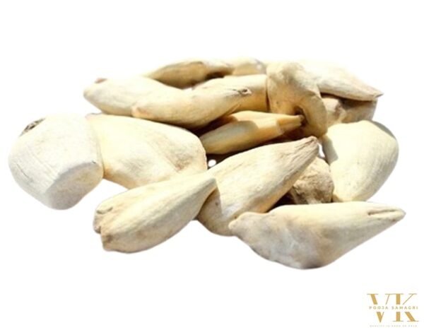 VK Suranjan Mithi (Suranjan Sweet) Whole, Colchicum Luteum | 100% Pure & Natural - 100 Gm