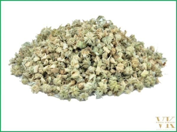 VK Herb Gokhru Bada (Large Caltrops) | 100% Pure Natural Pedalium Murex – 200 Gm