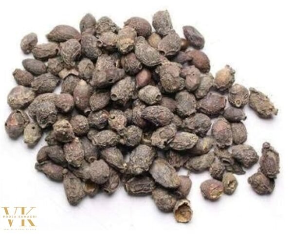 VK Jamun Guthli,जामुन गुठली,Syzygium Cumini, Eugenia Jambolana Seeds, Blackberry Seeds 200 Gm