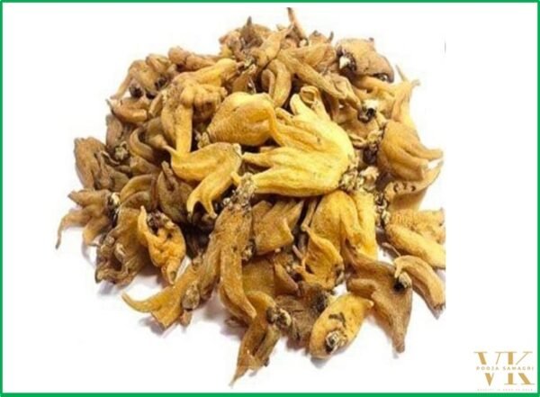 VK White Salam Panja Herb Whole | 100% Pure & Premium Quality - 50 Gm