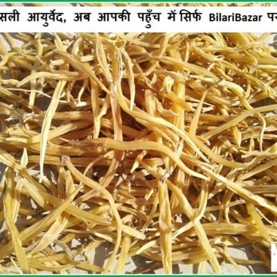 VK Shatavari Dried Root, सतावर,Asparagus Racemosus, Aspragus, Satawar, Shatamuli, Satawari, शतावरी 200 Gm