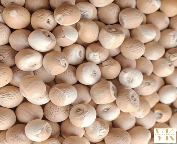 VK Whole Supari,सुपारी साबुत,Supari Sabut, Betel Nut 100 Gm