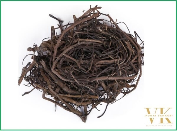 VK Bad Ki Dari (Bargad Ki Dadhi) | 100% Pure Natural Banyan Aerial Roots – 100 Gm