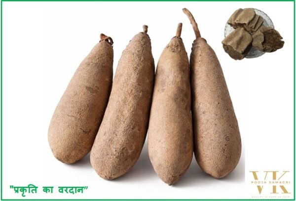 VK Balam Kheera Dry/बालम खीरा 100% Pure Natural 400 Gm
