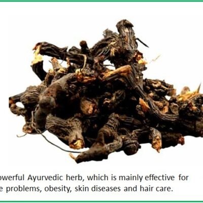 VK Nagarmotha (Cypriol Rhizome) | 100% Pure Natural Nut Grass Root – 250 Gm