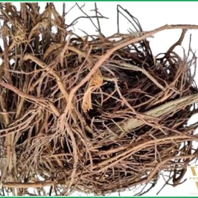 VK Pipal Dadhi (Peepal Jata) | 100% Pure Natural Sacred Fig Aerial Roots – 100 Gm