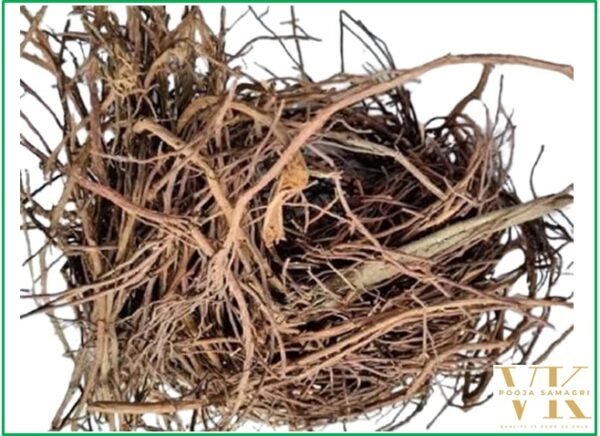 VK Pipal Dadhi (Peepal Jata) | 100% Pure Natural Sacred Fig Aerial Roots – 100 Gm